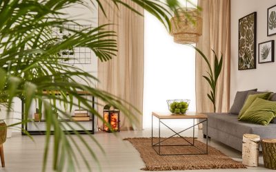 L’art de la décoration : comment donner vie à votre intérieur
