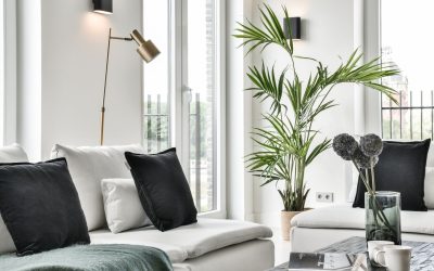 Redonner vie à votre intérieur : Les secrets de la décoration réussie